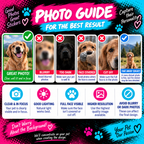 Personalised Pet Sticker
